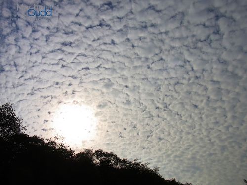 Ein typischer Altocumulus / A typical Altocumulus